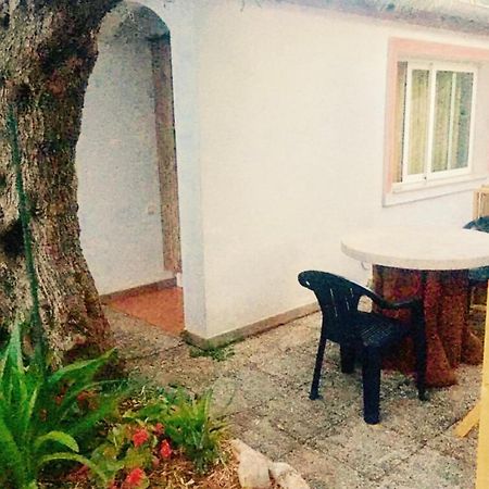 Olive Tree Apartments Rovinj Eksteriør bilde