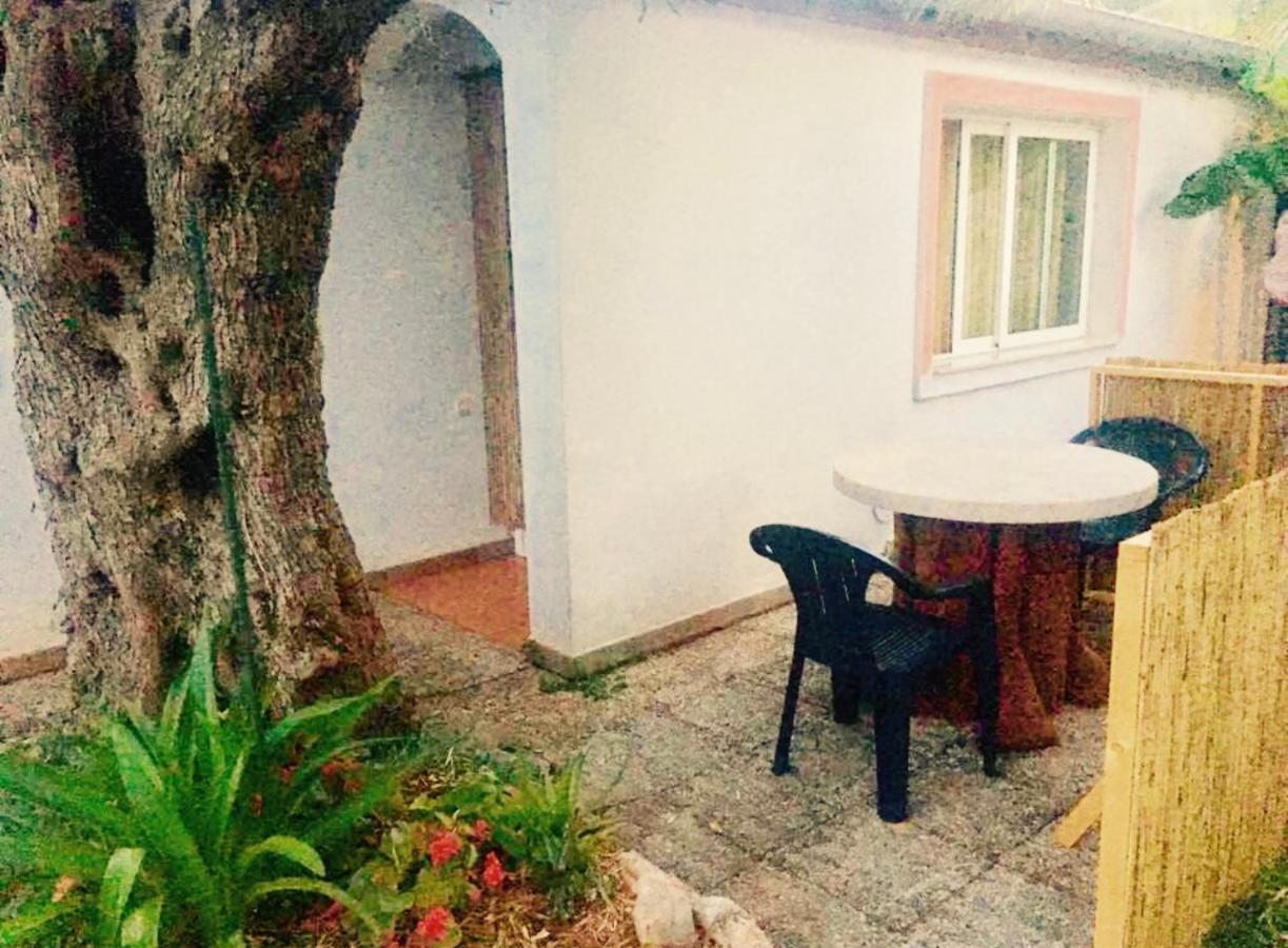 Olive Tree Apartments Rovinj Eksteriør bilde